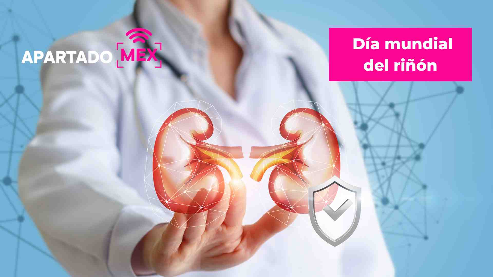 Hoy es el día del riñon - Portal de noticias