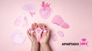 ¿Cuáles son los síntomas de embarazo?