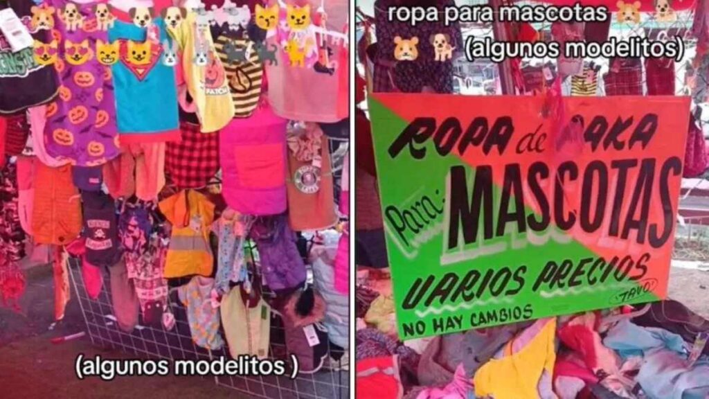 Ubicación y días de la paca de ropa para perros