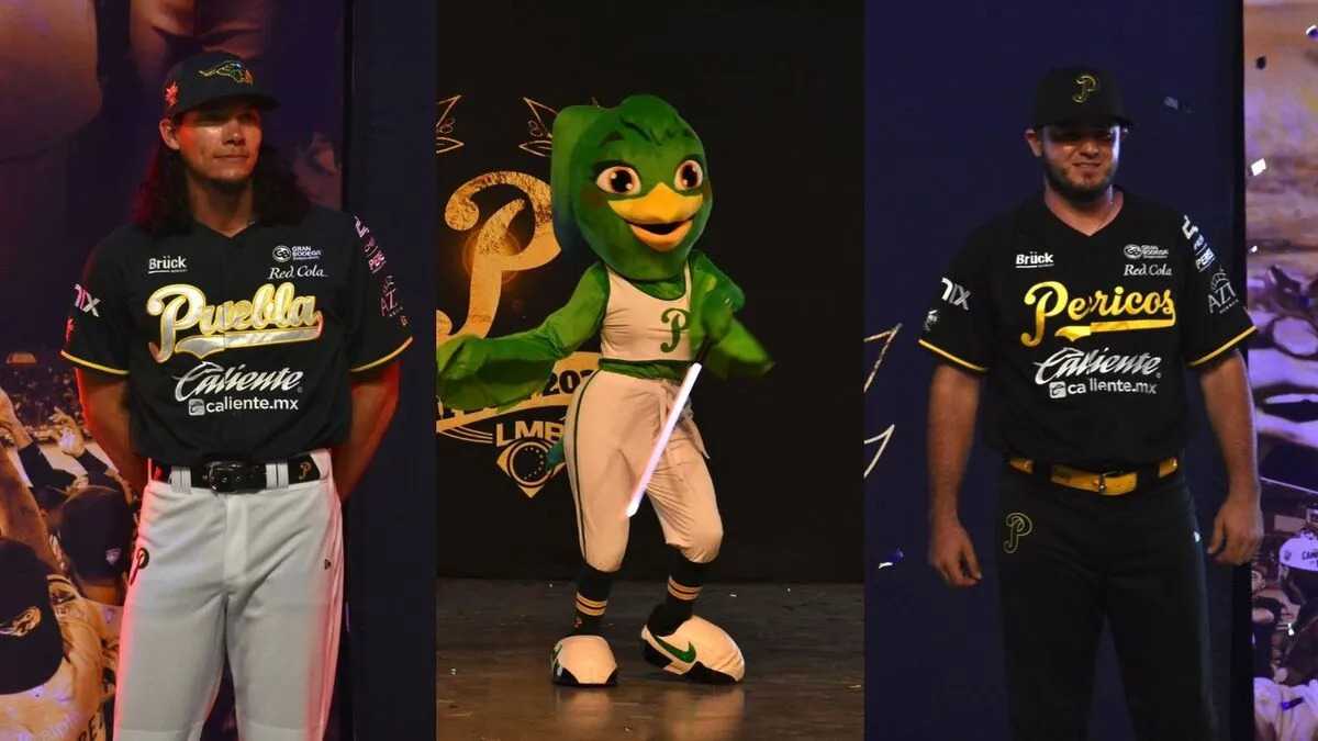 Pericos de Puebla presentan a su nueva integrante y sus armaduras ...