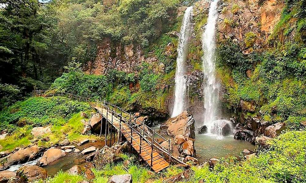 Qué hacer en Honey Puebla