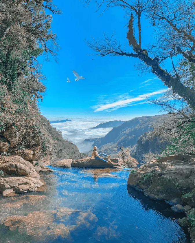 Qué hacer en Honey Puebla