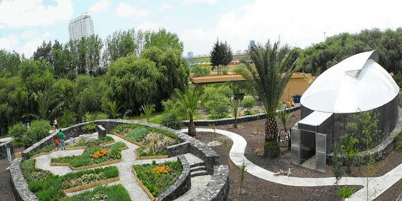 Descubre el Parque Metropolitano de Puebla, un espacio ideal para disfrutar naturaleza, deporte y convivencia familiar. Conoce sus actividades, atractivos y consejos para aprovechar tu visita.